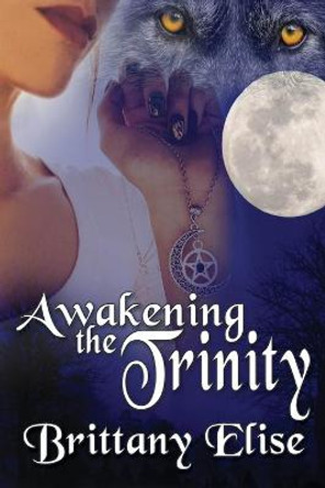 Awakening the Trinity Brittany Elise 9781684331260