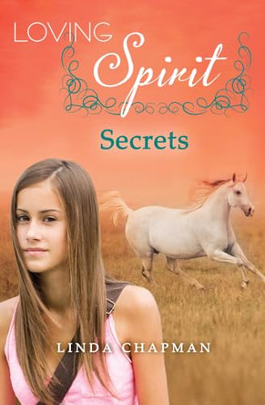 Secrets Linda Chapman 9781497664647