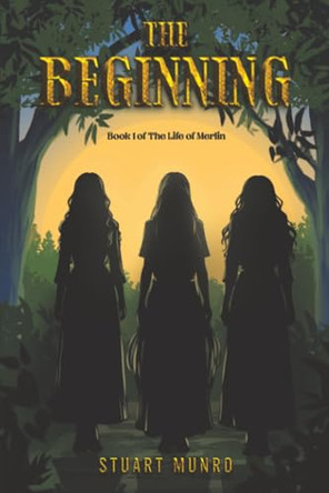 The Beginning Stuart Munro 9781037119903