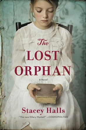 The Lost Orphan Stacey Halls 9780778309321