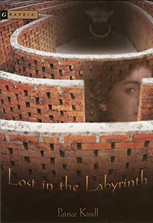 Lost in the Labyrinth Patrice Kindl 9780618394029