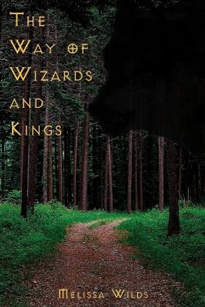 The Way of Wizards and Kings Melissa Wilds 9781420861433