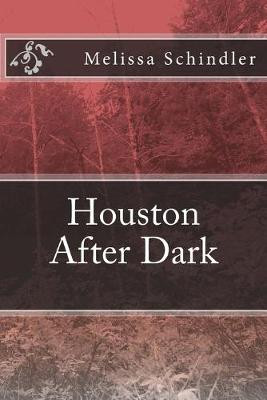 Houston After Dark by Melissa Ann Schindler