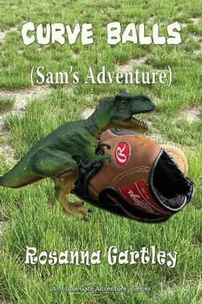 Curve Balls: Sam's Adventure Rosanna Gartley 9781648831683