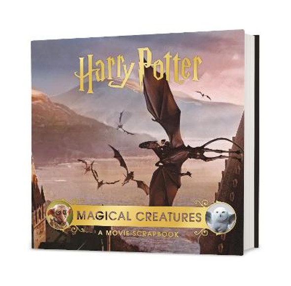 Harry Potter Cross-Stitch Kit by Running Press, Warner Bros. Consumer  Products Inc.