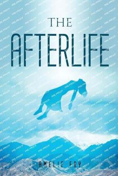 The Afterlife Amelie Fry 9781837615193