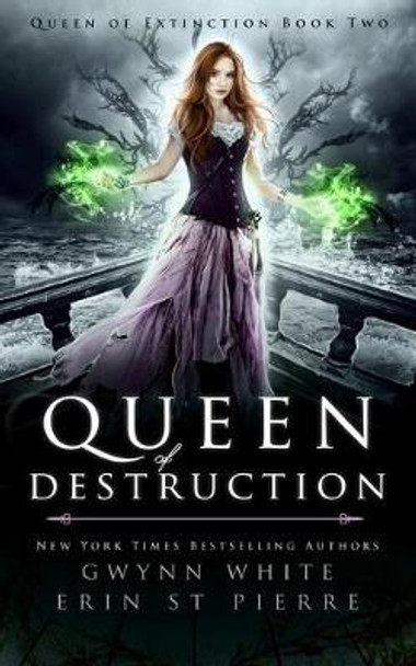 Queen of Destruction: A Dark Sleeping Beauty Fairytale Retelling Erin St Pierre 9781974014705