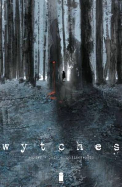 Wytches Volume 1 Scott Snyder 9781632153807