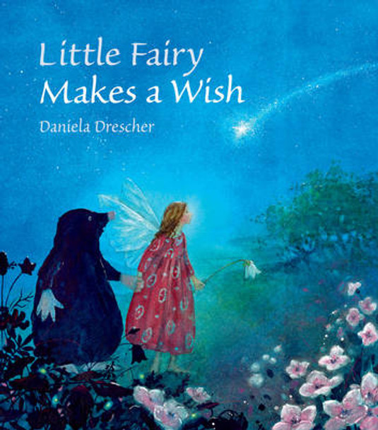 Little Fairy Makes a Wish Daniela Drescher 9781782502432