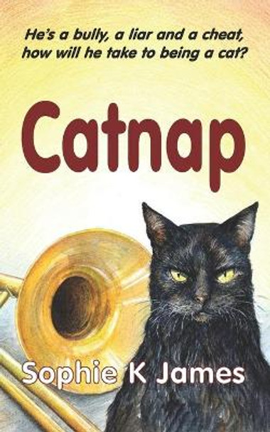 Catnap by Sophie K James
