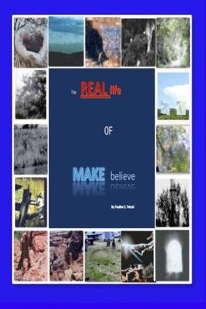 The REAL life of MAKE believe Pauline E Petsel 9798640787535