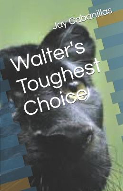 Walter's Toughest Choice Jay Cabanillas 9798812344269