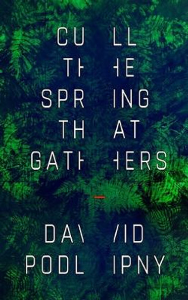 Cull the Spring That Gathers David Podlipny 9798842685929