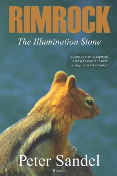 The Illumination Stone Peter Sandel 9798985519211