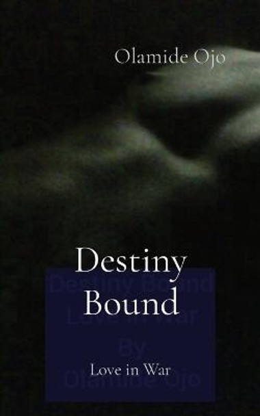 Destiny Bound: Love in War Olamide Ojo 9781088034156