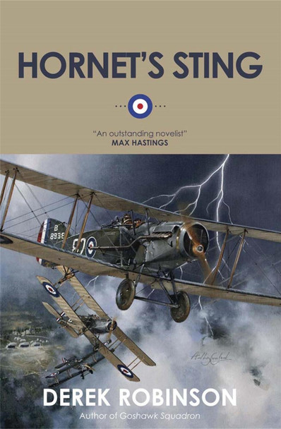 Hornet's Sting Derek Robinson 9780857052254
