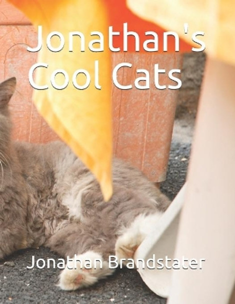 Jonathan's Cool Cats by Jonathan Jay Brandstater