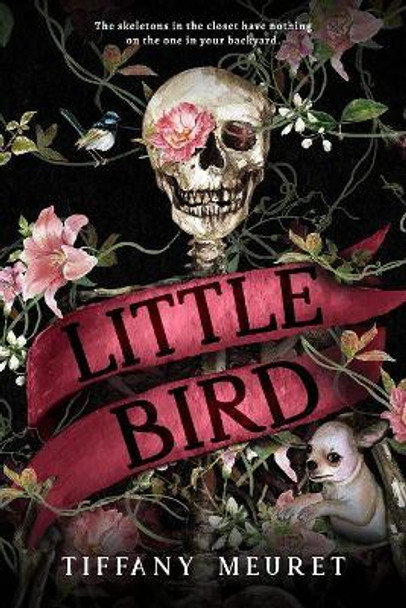 Little Bird Tiffany Meuret 9781645480617