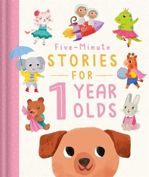 Five-Minute Stories for 1 Year Olds Igloo Books 9781803680361