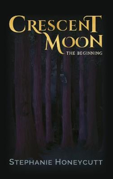 Crescent Moon: The Beginning Honeycutt 9781957245003