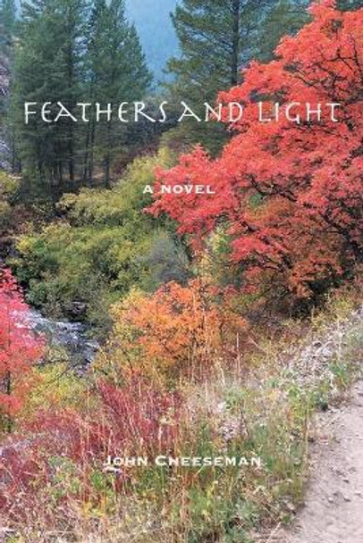 Feathers and Light John Cheeseman 9798885311212