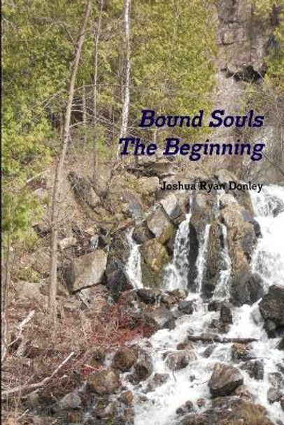 Bound Souls The Beginning Joshua Ryan Donley 9781300289937