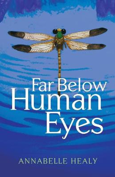 Far Below Human Eyes Annabelle Healy 9781631952401