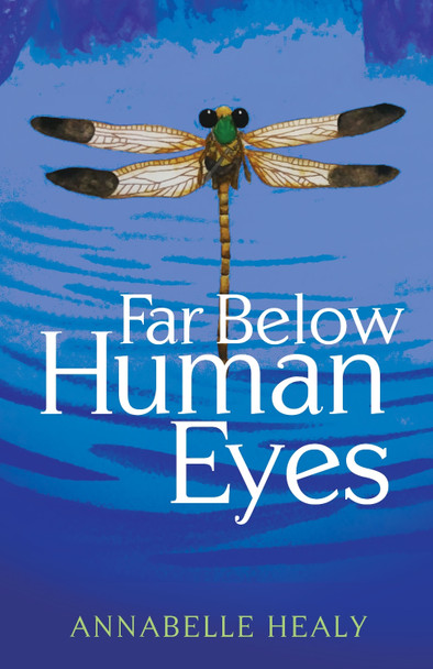 Far Below Human Eyes Annabelle Healy 9781631952401