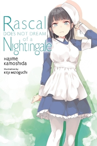 Rascal Does Not Dream, Vol. 11 (light novel) Hajime Kamoshida 9781975343507