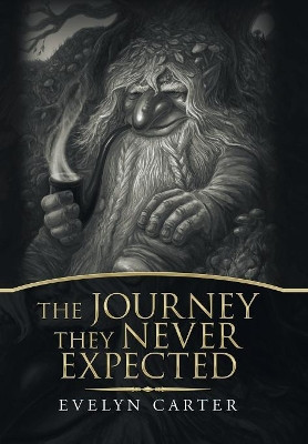 The Journey They Never Expected Evelyn Carter 9781796013610