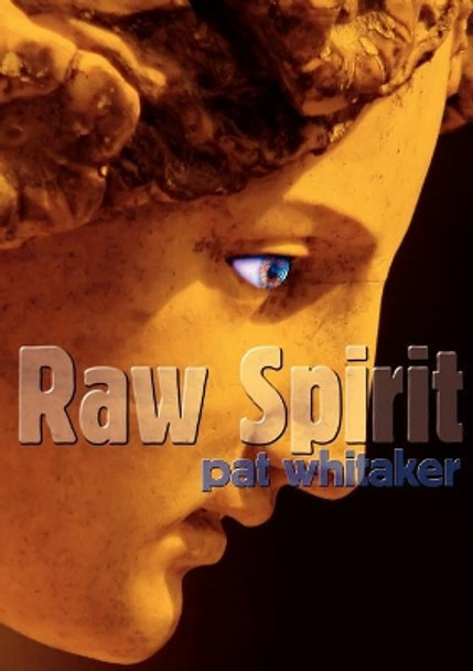 Raw Spirit Pat Whitaker 9781877557156