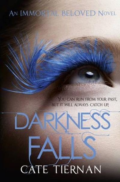 Darkness Falls (Immortal Beloved Book Two) Cate Tiernan 9781444707021