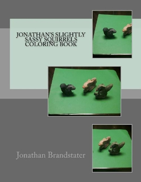 Jonathan's Slightly Sassy Squirrels Coloring Book by Jonathan Jay Brandstater