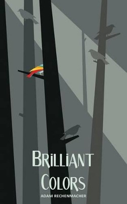 Brilliant Colors by Robinson Wood