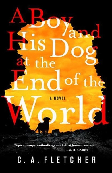 A Boy and His Dog at the End of the World C a Fletcher 9780316449458