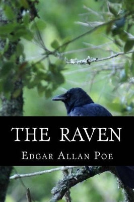 The Raven Edgar Allan Poe 9781523831371