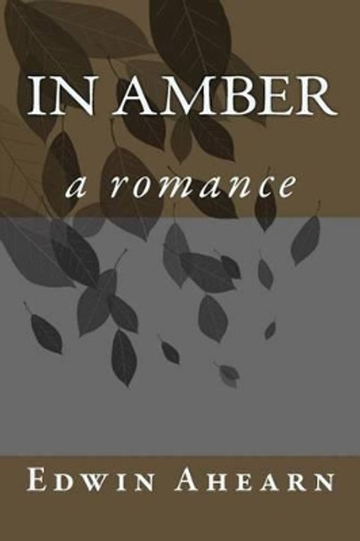 In Amber: a romance Edwin Ahearn 9780986384813