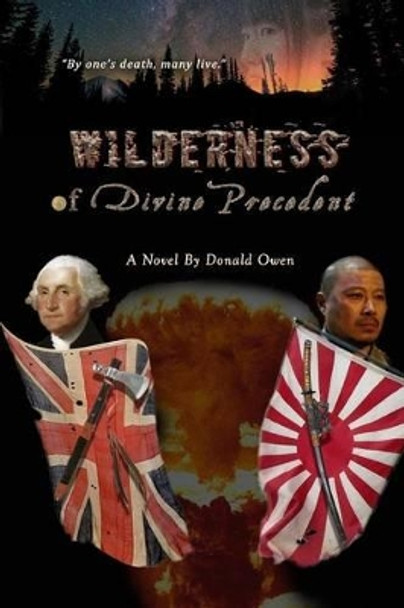 Wilderness of Divine Precedent Donald L Owen 9781537152561