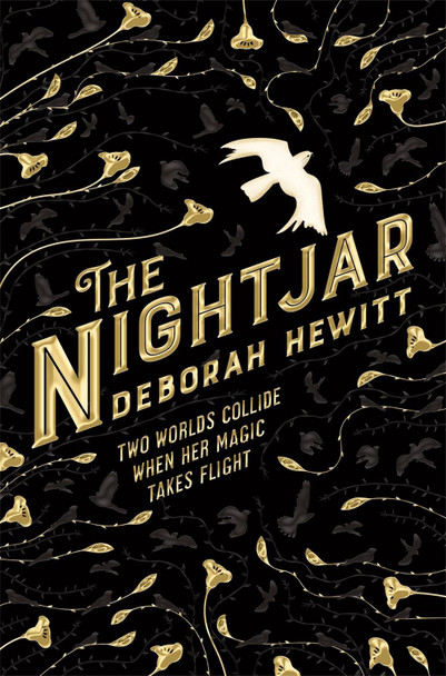 The Nightjar Deborah Hewitt 9781509896462