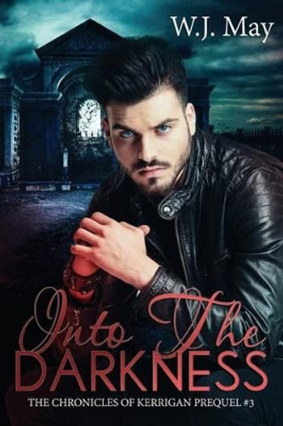 Into the Darkness: paranormal fantasy romance W J May 9781536869293
