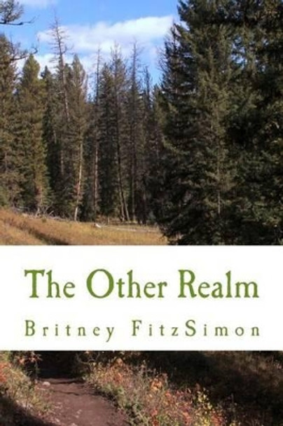 The Other Realm Britney Fitzsimon 9781507743690