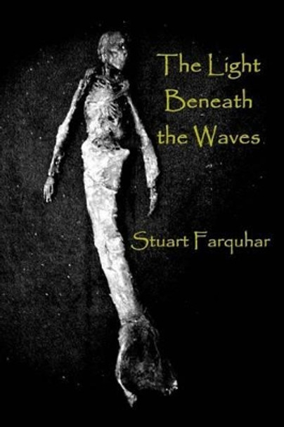 The Light Beneath the Waves Stuart Farquhar 9781505549171