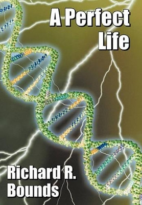 A Perfect Life Richard R. Bounds 9781452097329