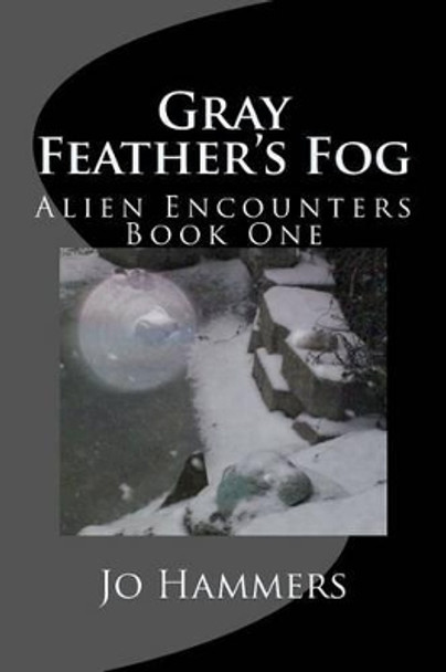 Gray Feather's Fog by Jo Hammers