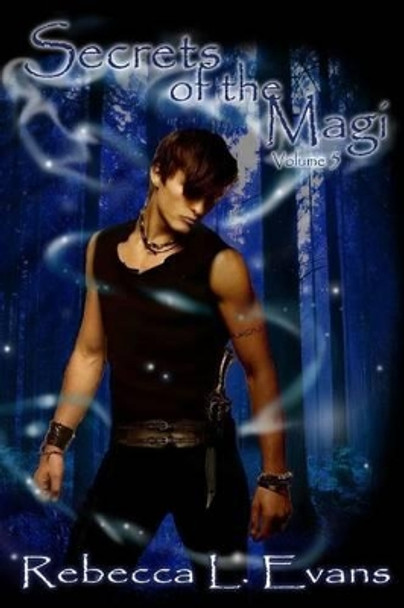 Secrets of the Magi by Dawn M Gibbons
