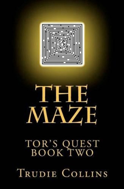 The Maze by Trudie L Collins