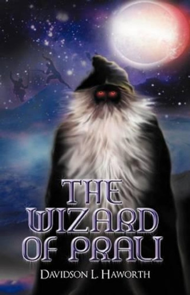 The Wizard of Prali Davidson L Haworth 9781462055357