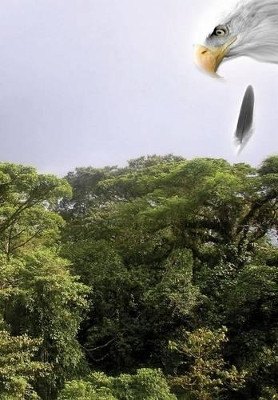 Cuauhtemoc: Descending Eagle D L Davies 9781453513583