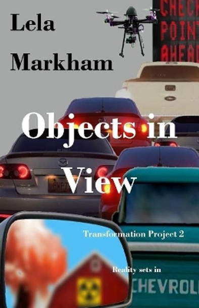 Objects in View Lauri Sliney 9780990935872