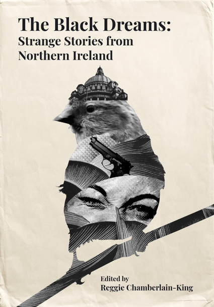 The Black Dreams: Strange Stories from Northern Ireland Reggie Chamberlain-King 9781780733289